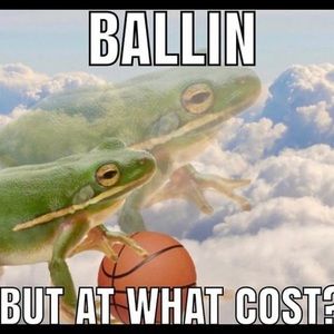 Meet your Posher, Eliza